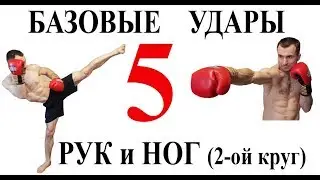 Базовые удары руками нюансы, и ногами (2 ой круг)