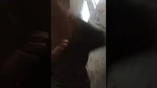 Ты встретил его на улице со своей девушкой, он шлепает ее по жопе и подходит к тебе, твои действия?