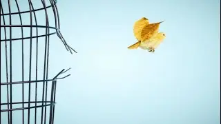 KATİNA AÇILIMI • OLMAZLARI OLDURAN YÜCE GÜÇ