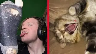 My Entire Channel BUT JUST MY KITTY & FEET🦶