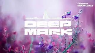 Electro retro music - deep Mark