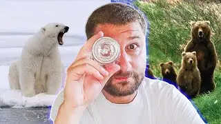 Meeting the Polar Bear | Seeing Off the Brown Bear