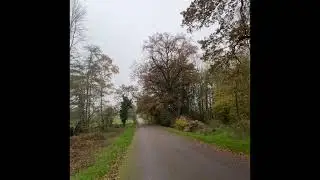 England, Sunninghill Park, прогулка 🍂🌳
