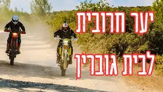 חוזרים ללימודים בסינגלים: חרובית לבית גוברין