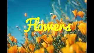 "Flowers" - Boom Bap Type Beat (By Gnius Beatz)