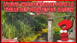 Taille des plantes du bassin - l'outil indispensable !