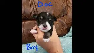 new babies new names