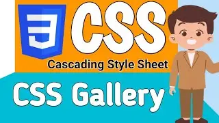 CSS Gallery | Responsive Gallery Design through HTML and CSS | Complete CSS Course in Hindi #css