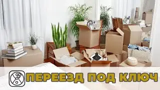 Как организовать переезд с минимальными затратами и потерями