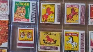 Animal On Matchbox. #tigar #lion #horse #reels #reel #viral #youtube #shortvideo #ytshorts #shorts