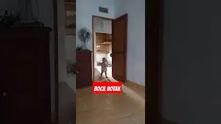 Bocil botak