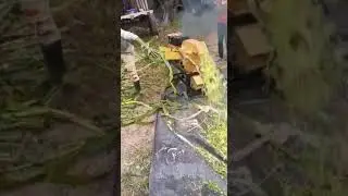 Molino Picadora 1.5 toneladas hora