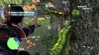 Assassin's Creed: Rogue. Испытание охотника в Девственном лесу. Охота на серых волков.