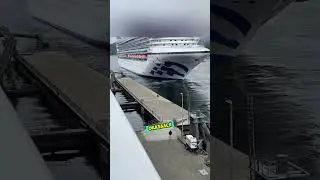 Проспал Билет На Лайнер🤬🛳️🛟
