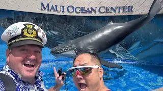 Experience MAUI OCEAN CENTER Like a Pro!