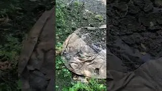 Бросили лодку на берегу   