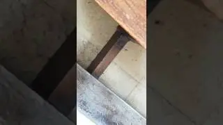 Coro fiestas de Granda 2017 - 1