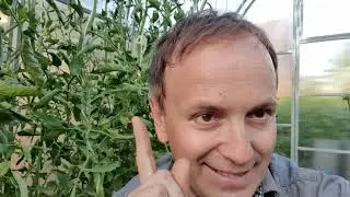 Век живи, век учись.