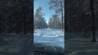 27 февраля 2023 г.