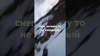 2 апреля 2023 г.