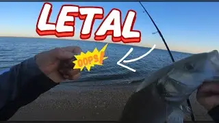 Este SEÑUELO es LETAL  🎣 |INCREIBLE donde pica este PEZ|