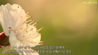 딸 보고 싶은 날엔