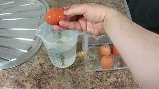 Como Saber si un Huevo está en Buen Estado para su Consumo. Con Ejemplo Práctico.