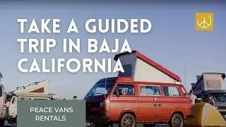 Whale Watching & Farm-To-Table Trips in Baja California