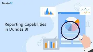 Reporting Capabilities in Dundas BI