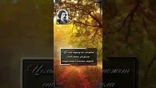 Майн Рид. Гонимый всегда вызывает сочувствие в благородном сердце.