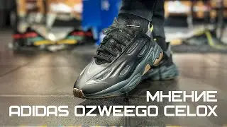 МНЕНИЕ ОБ ADIDAS OZWEEGO CELOX | H04235