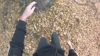 Get out and into the woods! (Tree climbing POV)