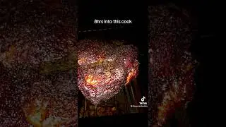 8hrs into this cook little bit longer to go. Please share your thoughts #bbq #smokedmeat #cooking