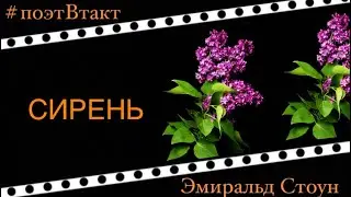 🔰СИРЕНЬ🔰 Эмиральд Стоун