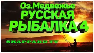 Русская рыбалка 4🌎Озеро Медвежье🐠 НАЖИВКИ И БЛЕСНА