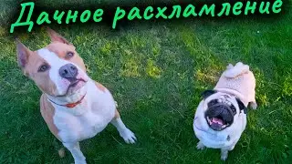 На сколько вы любите своих детей? Много игрушек не бывает. Влог.