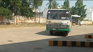 Apsrtc palasa to Nuvvularevu village palle velugu bus timings and information Telugu|vihaan times 