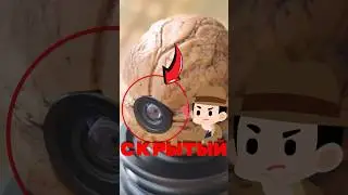 🔍 Mini camera hidden in a walnut! (@PenguinDIY)