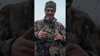 Интересный трофей ....