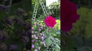 Лікуйте душі #лікуйтедушувідчуттями