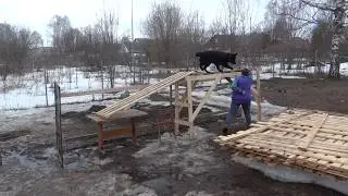 Кора препятствия