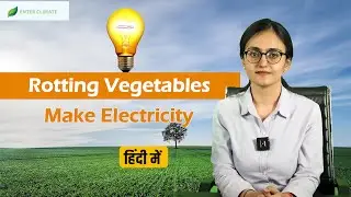 सब्जियों के कचरे से कैसे बनती है बिजली?| How Rotting Vegetables Make Electricity?| Enterclimate