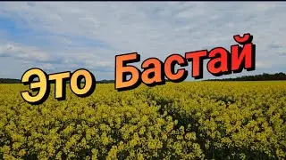 Едем смотреть знаменитый мост Бастай!
