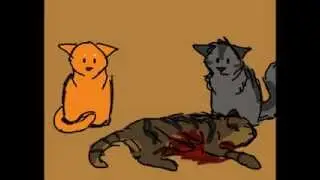 hey, tigerstar