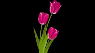 Python Turtle Graphics - 33 ||  Tulips || Art by Code #shorts