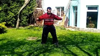 Hunyuan Taiji 24 form by Code Monkey King