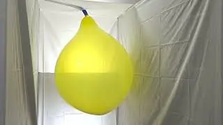 #197 BTP - big yellow balloon blow to pop