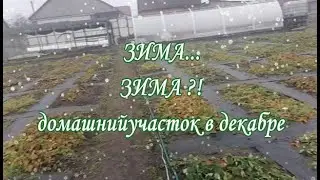 Участок в декабре