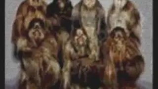 THE WOOKIEE