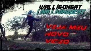 WallisonSat - 